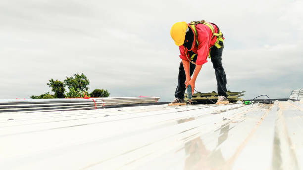 Best Skylight Installation and Repair  in Nyon Lake, CA