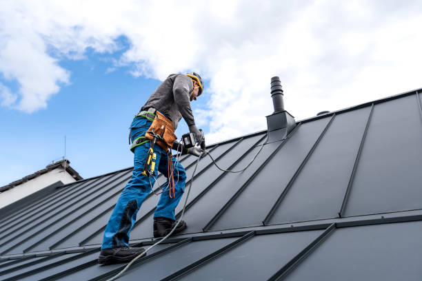 Best Sheet Metal Roofing  in Nyon Lake, CA